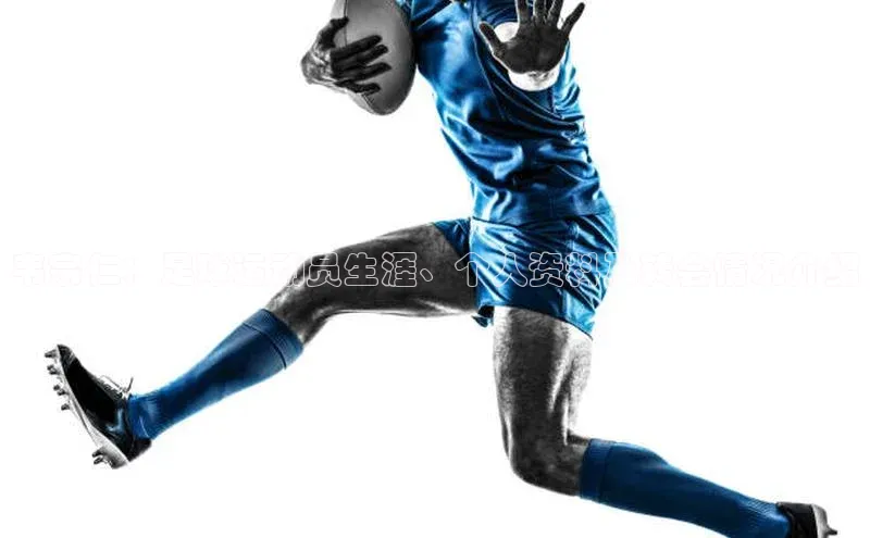 长征平台登录百度翻译韦宗仁：足球运动员生涯、个人资料及转会情况介绍