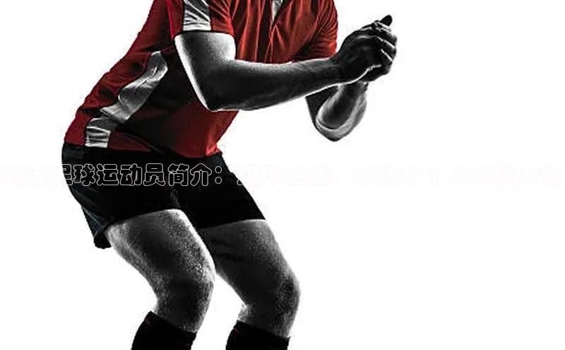 长征娱乐注册登录轻美电器魏吉足球运动员简介：踢球生涯、荣誉和个人资料全览