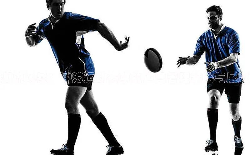 潮流风暴：冲浪运动赛事的运营管理策略与展望