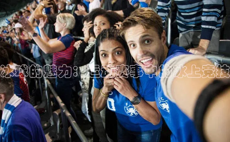 冰球的魅力：运动赛事中的冰上竞技