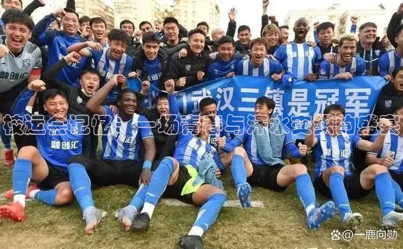 校运会记忆：一场青春与汗水交织的盛宴