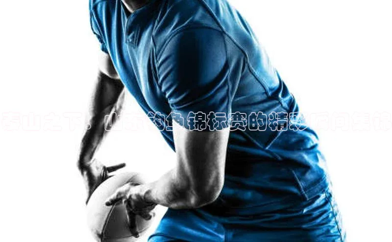 泰山之下：山东钓鱼锦标赛的精彩瞬间集锦