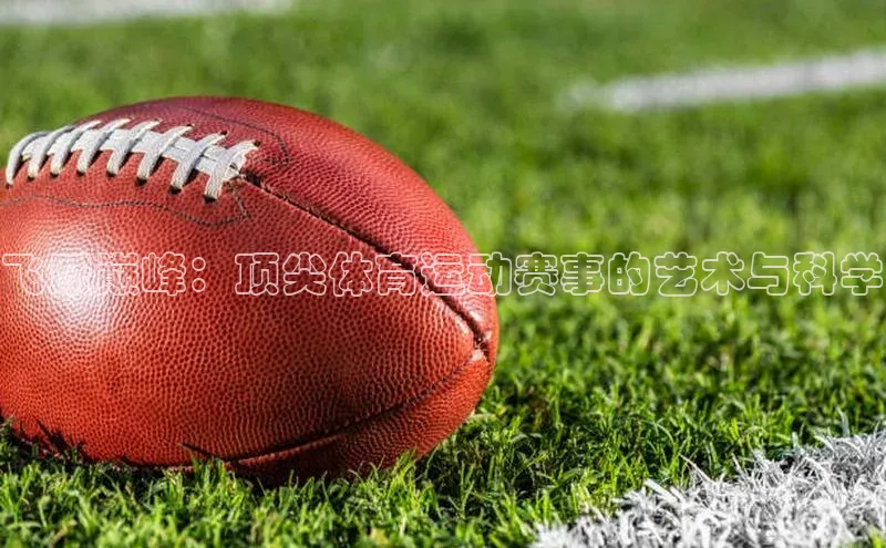 飞跃巅峰：顶尖体育运动赛事的艺术与科学