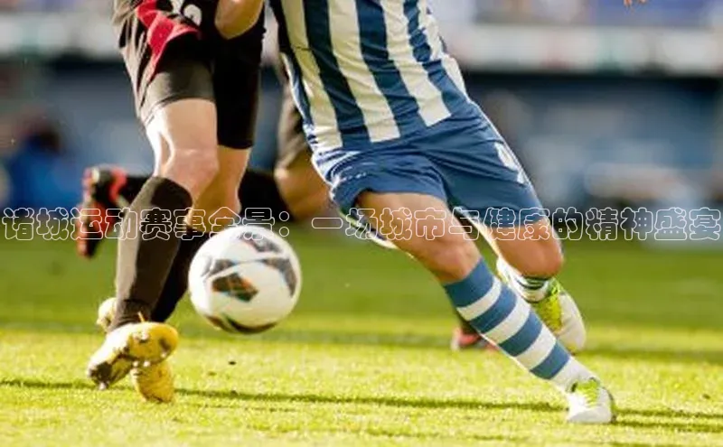 诸城运动赛事全景：一场城市与健康的精神盛宴