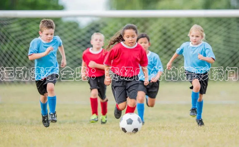 运动赛事全览：赛场内外的精彩瞬间