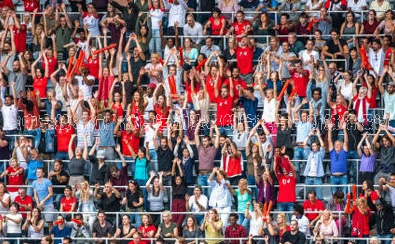 空中竞技：航空体育运动赛事的管理与创新策略探讨