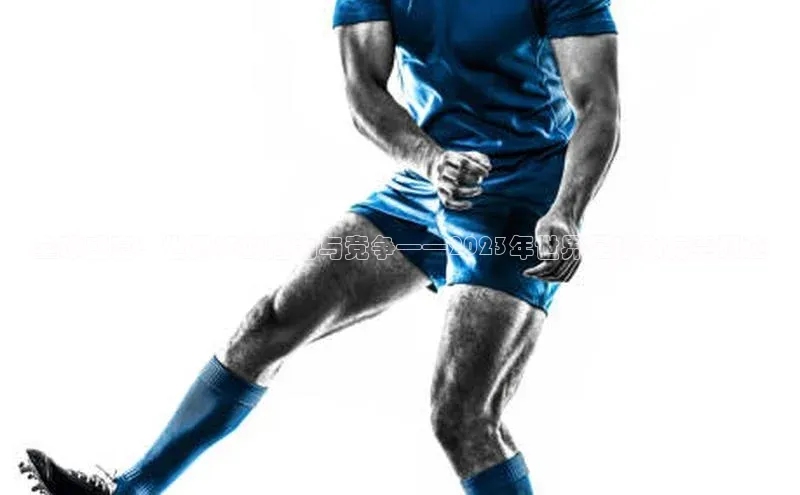 全球盛宴：世界杯的魅力与竞争——2023年世界足球锦标赛概述