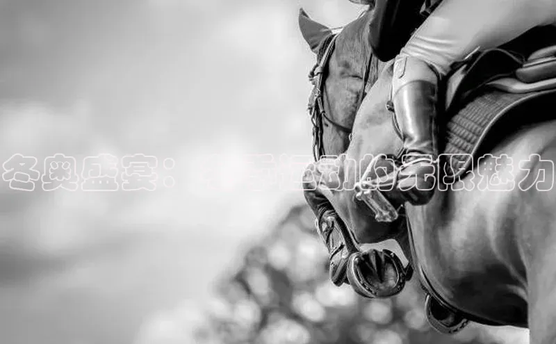 冬奥盛宴：冬季运动的无限魅力