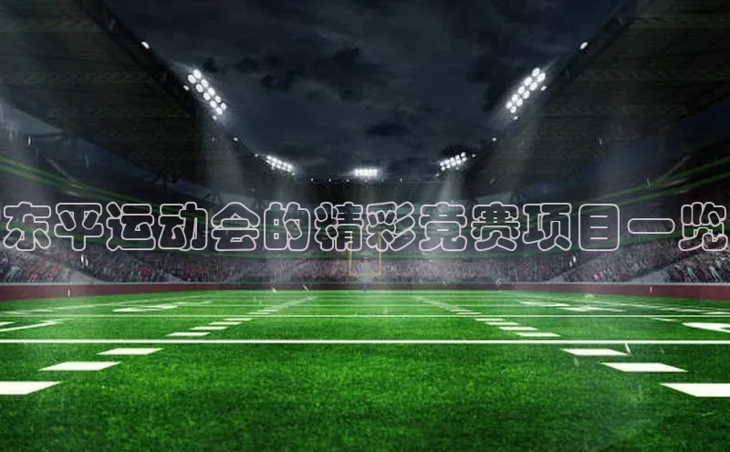 东平运动会的精彩竞赛项目一览