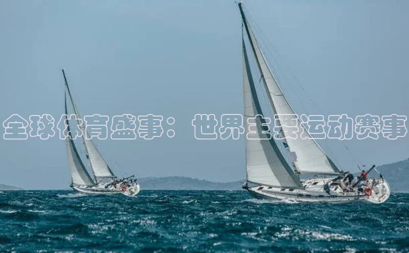全球体育盛事：世界主要运动赛事