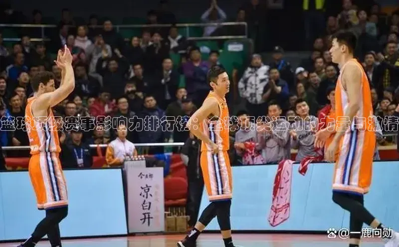篮球顶级赛事影响力排行榜：全球顶尖运动的力量与激情
